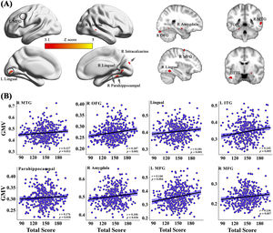 The main effect of HPT on the gray matter volumes. (A) shows the regions where the gray matter volumes were positively correlated with the HPT total scores. (B) displays the scatterplots of the correlations between the GMVs in some regions and the total scores of the HPT.