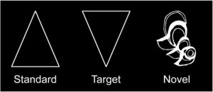 Examples of standard, target, and novel stimuli used in the visual novelty oddball task.