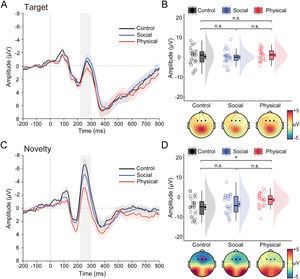 Task effects on the N2 data. (A) Grand-averaged ERP waveforms over frontal areas in response to target stimuli for healthy control, social anhedonia, physical anhedonia groups. (B) Raincloud plots of the mean amplitudes for the target N2 as a function of groups. (C–D) same as panels A–B, except that ERP waveforms represent an average in response to novel stimuli, and data points represent amplitude data for the novelty N2. For the ERP waveforms, colored shaded error bars indicate standard error of the mean across participants in each group, gray shaded vertical bars represent the time window used for N2 quantification (220–300 ms). Topographic maps show scalp distribution of the N2 as a function of groups. For the purpose of illustration, the averaged ERPs were filtered with a low-pass cutoff at 30 Hz. The density plots depict the distributions, the boxplots represent the median and the 1st and 3rd quartiles, and the colored circles and dots indicate the mean for each participant and across participants in each group, respectively. Error bars represent the within-subject standard error of the mean. *p〈 .05, n.s., p〉 .05. The p-values were corrected using the Bonferroni procedure.