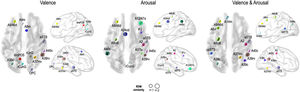 Differential brain representation of perceived emotion information according to emotional valence, arousal, and valence & arousal. Significant brain nodes are displayed (false discovery rate < 0.05).