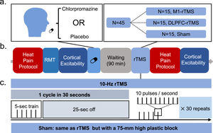 Experiment procedure. A group of 45 participants were equally randomised to the three groups (M1, DLPFC, Sham) and visited the lab twice with an interval of 7 days or longer. In each session, participants received an oral dose of chlorpromazine (25 mg) or placebo and rested for 90 min, followed by a single session of rTMS. Participants also underwent heat pain and cortical excitability assessment both before drug administration and after rTMS intervention.