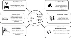 Overview of the main dimensions