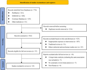 Study selection profile.