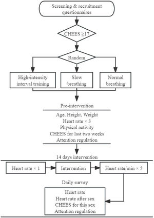 Experimental procedure. Note. CHEES = The Checklist for Early Ejaculation Symptoms. Higher values of CHEES suggest more premature ejaculation symptoms.