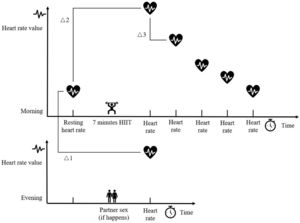 Heart rate measurement and related outcomes. Note. Delta “△” 1 = Heart rate increase from resting to after sex. Delta “△” 2 = Heart rate increase from resting to after the high-intensity interval training (HIIT) intervention. Delta “△” 3 = Heart rate recovery after the HIIT intervention.
