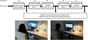 Graphical Experimental Procedure and Position of the Participant.