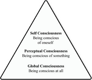 Global, perceptual and self-consciousness.