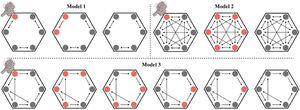 Simulation of TMS evoked potential in three models.
