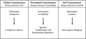 Diagram with levels and theories of consciousness.