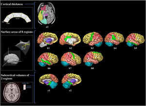 Visualization of brain structure measures associated with cardiorespiratory fitness in young adults. Notes. Figure a1 shows the associated cerebral thickness of the left insula; Figure b1–8 shows the associated surface areas of 8 brain regions, including the left entorhinal, left posterior cingulate, left precentral, right inferior parietal, right inferior temporal, right middle temporal, right precentral, and right superior frontal gyri; Figure c1–2 shows the associated subcortical volumes of the left and right hippocampus. We also illustrate the calculation of brain structure measures: cortical thickness, the distance from the white surface vertex to the closest point on the pial surface; surface area, the sum of all mesh surfaces composed of vertex [intersection of the triangle] and edge [connection between vertices]; subcortical volume, an approximate estimate of the volume obtained by multiplying the area by thickness at each vertex. The regions associated with endurance are marked in bright green, while the other regions are shown in different colors corresponding to various brain lobes: yellow for the frontal lobe, red for the parietal lobe, pink for the temporal lobe, orange for the occipital lobe, brown for the limbic lobe, blue for the cerebellum, and purple for the cerebral nuclei.).