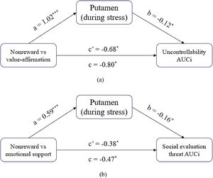 The mediation role of the putamen in the influence of social rewards on stress. (a) the mediation model of value affirmation influencing stress response; (b) the mediation model of emotional support influencing stress response. Note Total (path c), direct (path c′), and indirect (ab) with its components (paths a and b).