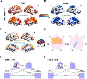 Seed-based functional connectivity patterns predicting mood volatility and the potential chain mediation effects in the rs-fMRI subset (n = 505).