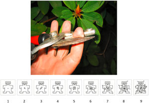 Example of a trial in the empathy for pain task, Study 2 A representative picture from the Empathy for Pain task used in Study 2 (from (Jackson et al., 2005b)) along with the Self-Assessment Manikin (SAM) scale used in this study.