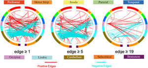 CPM craving networks represented by the connectivity between macroscale brain regions. The brain regions are arranged in an approximate anatomical order, and the length of the lines reflects the distance of the connections.
