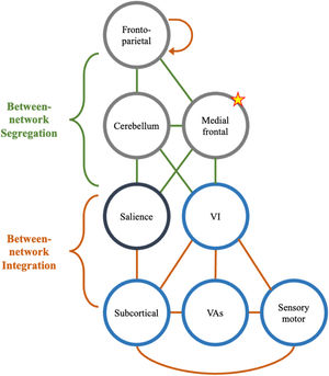 Theoretical network model of craving in MUD The figure presents a schematic illustration of a theoretical network model depicting the neural mechanisms underlying methamphetamine craving in abstinent individuals with Methamphetamine Use Disorder (MUD). Circles are color-coded to represent distinct functional network roles: gray corresponds to cognitive control networks, black to attention and cue-encoding networks, and blue to reward-response networks. Connectivity between networks is depicted with color-coded lines, where red signifies positive (integration) and green indicates negative (segregation) connectivity patterns. Stars denote critical hub networks that substantially enhance the model