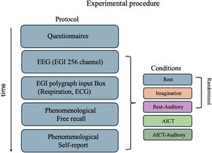 Experimental Procedure. Participants completed five randomized conditions: 