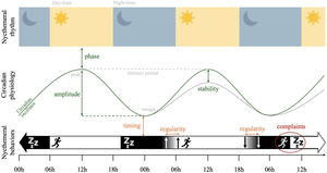 Schematic representation of the five circadian dimensions. Nycthemeral rhythm: 24 h period including alternation of daytime and nighttime due to solar exposition. Circadian physiology (green): near-24 h patterns of physiological parameters, including peaks (maximum over the nycthemeral rhythm), troughs (minimum over the nycthemeral rhythm), and periods (delay between two identical points). The phase (timing of the peak and trough across the nycthemeral rhythm), amplitude (difference between the peak and trough), and stability (difference between periods across days). Nycthemeral behaviors (orange): near-24 h patterns of behaviors with sleep (black) and wake (white) alternation. The timing (actual sleep–wake behaviors related to physiological circadian rhythms) and regularity (difference in behavioral nycthemeral timing across days) are shown. Circadian complaints (red): clinical symptoms of sleep disturbance experienced by an individual depending on their physiological circadian and behavioral nycthemeral rhythms. These dimensions are components of circadian health.