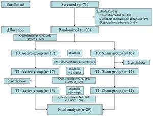 CONSORT flow chart.