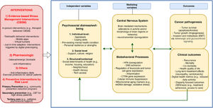 This integrative framework illustrates how psychosocial distress—shaped by individual, social, and contextual factors—influences cancer outcomes through central nervous system (CNS) mechanisms and biobehavioral processes. Stress-related dysregulation of the hypothalamic–pituitary–adrenal (HPA) axis, sympathetic nervous system (SNS), and immune system contributes to tumor progression and adverse clinical outcomes. Mediating variables include alterations in brain regions involved in emotion regulation and inflammatory signaling pathways. The model highlights multiple levels of intervention, including evidence-based stress management interventions (e.g., Cognitive-Behavioral Stress Management, CBSM), pharmacologic strategies (e.g., beta-blockade), lifestyle approaches (e.g., anti-inflammatory diets, exercise), and digital health tools (e.g., mobile apps, virtual humans, and just-in-time adaptive interventions). Preventive strategies are organized by risk level, encompassing primary, secondary, and tertiary prevention efforts.
