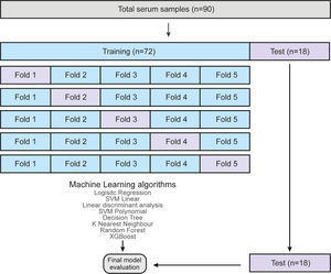 Predictive model flowchart. Machine learning model development structure for FASD prediction.