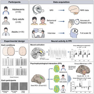 Measurement of brain activity and functional connectivity during an emotional discrimination task. The behavioral and fMRI data from participants aged 12–33 years were collected during emotional discrimination tasks. The imaging parameter estimates for each condition were generated according to the emotional expression and status of the stimuli. Subsequently, the parameters for the four emotional and group conditions were considered in the flexible factorial model. To investigate the relationship between the emotional context and the salience network, the PPI parameters were extracted and analyzed from the cluster that showed connectivity with the dACC in each condition. AA, angry face followed by angry face; ACC, anterior cingulate cortex; AH, angry face followed by happy face; HA, happy face followed by angry face; HH, happy face followed by happy face; fMRI, functional magnetic resonance imaging; PPI, psychophysiological interaction; ROI, region of interest.