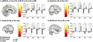 Region-of-interest (ROI) analysis of brain activity for emotional faces across age groups. (a) The ROI analysis for the dorsal anterior cingulate cortex (dACC). (b, c) ROI analysis for the bilateral insula. (d) ROI analysis for the left dorsolateral prefrontal cortex (DLPFC). AA, angry face followed by angry face; AH, angry face followed by happy face; HA, happy face followed by angry face; HH, Happy face followed by happy face.
