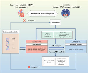 Overall design diagram for this study. IVW, inverse variance weighted; MR, mendelian randomization; pvRSA/HF, the peak-valley respiratory sinus arrhythmia or high-frequency power; RMSSD, the root mean square of successive RR interval differences; SDNN, the standard deviation of normal-to-normal intervals; SNP, single nucleotide polymorphism; HRV, heart rate variability.