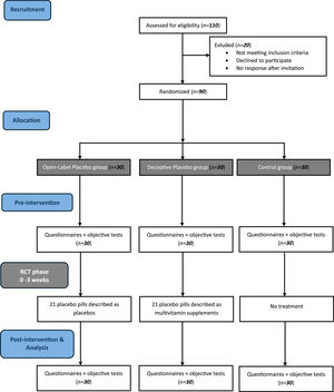 RCT CONSORT diagram. Flow of participants from screening to analysis.