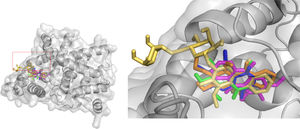 The docking simulation of the five anthraquinones share the same binding pocket to PDE-5.
