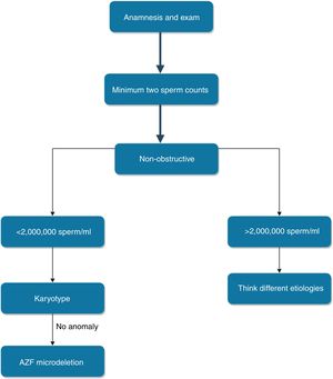 Diagram of genetic testing in male infertility. Depending on the number of semen count, patients can be administered chromosomal analysis and AZF microdeletion test, respectively.