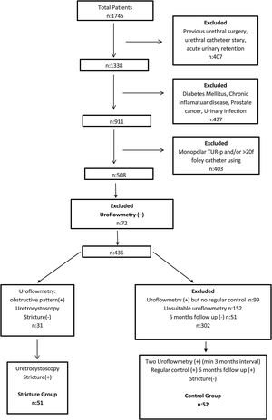 Patient flow diagram.