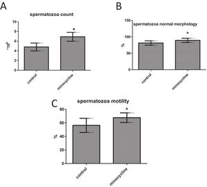 Mean±SD of the spermatozoa count (10×) (A), normal morphology (%) (B) and motility (%) (C) of the control (n=20) and minocycline (n=20) groups. *Significant differences between two groups (p<0.05).