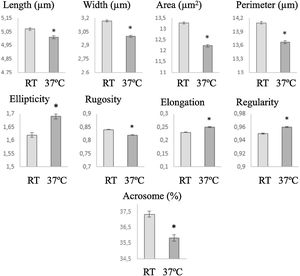 Sperm head morphometric parameters after incubation at room temperature (RT) and 37°C.