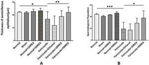 Testis histopathology evaluation in different groups. The thickness of seminiferous epithelium (A) and spermatogonia population (B) reduced significantly in following varicocele, and treatment with resveratrol in 50mg/kg concentration improved testicular damage induced by varicocele. *: p≤0.05, **: p≤0.01, ***: p≤0.001.