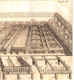 Toldos para blanquear la cera. Fuente: Arte de cerero (1777).