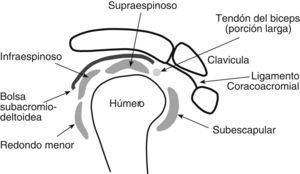 Esquema anatómico del espacio subacromial.