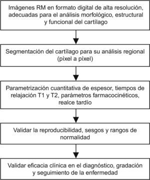 Proceso necesario para cuantificar regionalmente las variaciones en los diferentes parámetros extraíbles de las imágenes de resonancia magnética (RM) del cartílago.