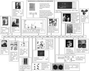 Principales contribuciones en la caracterización y la identificación de los anticuerpos con el paso del tiempo. La figura muestra los sucesos más importantes en el devenir de la historia de los anticuerpos. Ciertamente hay omisiones y no todos los aspectos que se muestran son tratados en el texto.