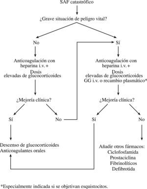 Algoritmo para el tratamiento del síndrome antifosfolipídico (SAF) catastrófico. GG: gammaglobulinas; i.v.: intravenosas.