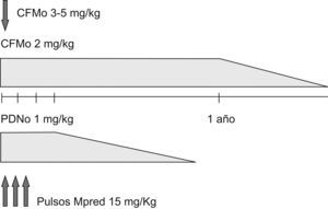 Tratamiento clásico. Tras un año de inducción con ciclofosfamida por vía oral (CFMo) se procede al tapering (disminución progresiva de dosis). La prednisona se administra durante 4 semanas a dosis plena y se procede al tapering. En casos muy severos, se intensifica el régimen al inicio: CFMo (3–5/mg/día) 2–5 días y tres pulsos de metilprednisolona (15mg/kg). CFMo: ciclofosfamida por vía oral; Mpred: metilprednisolona; PDN: prednisona.