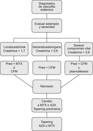 Algoritmo de tratamiento de las vasculitis sistémicas propuesto por la Sociedad Británica de Reumatología (Lapraik et al, Rheumatology 2007). Creatinina en mg/dl. AZA: azatioprina; CFM: ciclofosfamida; MTX: metotrexate; Pred: prednisona; tapering: disminución progresiva de la dosis.