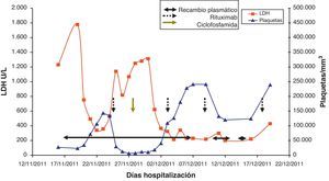 Evolución de parámetros analíticos y opciones terapéuticas empleadas en el caso actual.