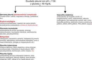 Propuesta de estudio del paciente con derrame pleural acidótico y con bajo contenido de glucosa. Las prioridades diagnósticas siempre serán las entidades mencionadas a la izquierda. El derrame pleural de origen vasculítico siempre será un diagnóstico de exclusión de dichas enfermedades. AAN: anticuerpos antinucleares; ADA: adenosina deaminasa
