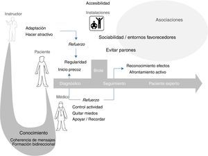 Modelo hipotético de refuerzo del ejercicio en EsA. Los especialistas en ejercicio deben compartir sus conocimientos en ejercicio con los reumatólogos, quienes a su vez lo compartirán con los pacientes. El papel de los instructores es hacer atractivo el ejercicio y adaptarlo a la condición física y actividad del paciente, para lo cual han debido de recibir formación por parte de los reumatólogos. Estos últimos deben hacer lo posible por controlar la enfermedad de los pacientes y quitarles los miedos al ejercicio, apoyando y recordando su necesidad. Los pacientes, por su parte, deben empezar cuanto antes y hacer lo posible por convertirlo en hábito, adoptando un afrontamiento activo. Las instalaciones deportivas deben estar accesibles y propiciar entornos favorecedores. Las asociaciones de pacientes podrían favorecer ambas, así como servir de plataforma de formación de instructores.