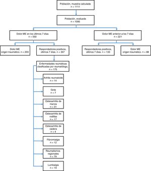 Flujograma, fases del estudio.