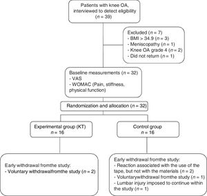 Flow chart of the study participants.