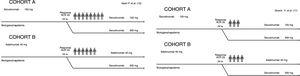 Basis for estimating the number of patients in each cohort who responded to treatment at 24 weeks.