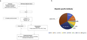 Methodology (a) and MSA profile (b).