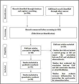 Flow diagram of the study screening process.