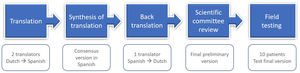 General mSQUASH translation and cross-cultural adaptation workflow and procedure.